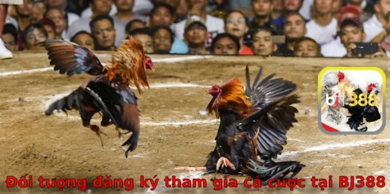 Đối tượng đăng ký cá cược