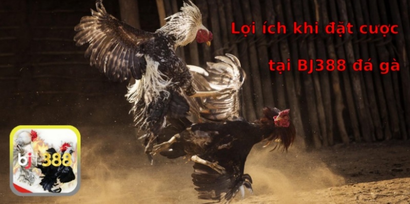 Lợi ích đặt cược tại cổng BJ388