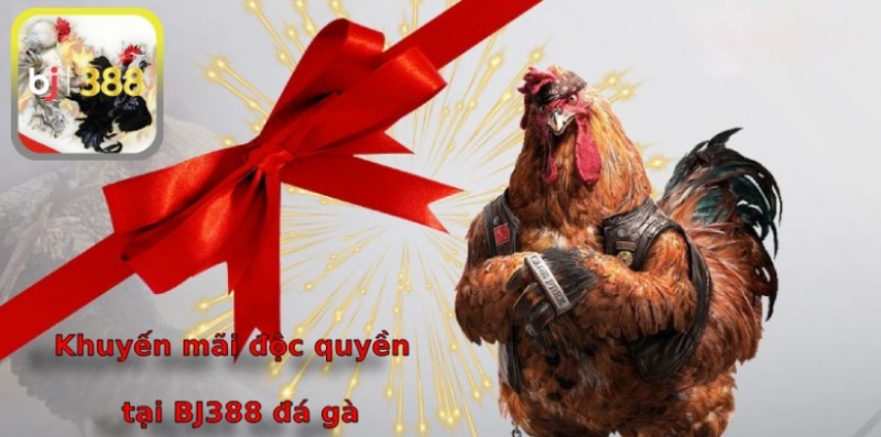 Khuyến mãi độc quyền chỉ có tại nhà cái này