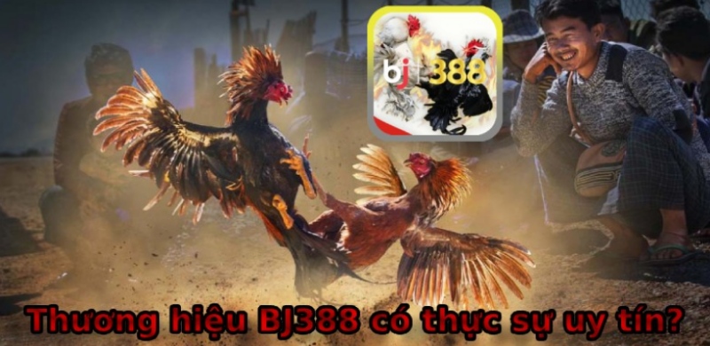 Thương hiệu BJ388 uy tín nhất hiện nay