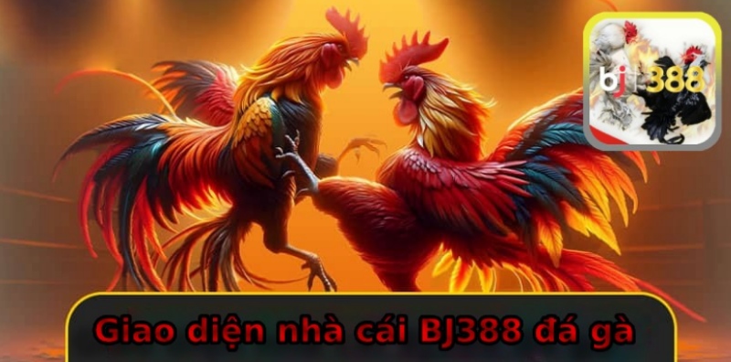Giao diện nhà cái đá gà thân thiện