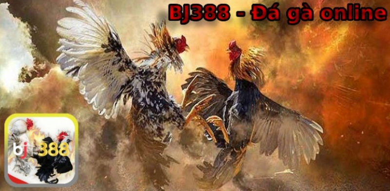 Đá gà online
