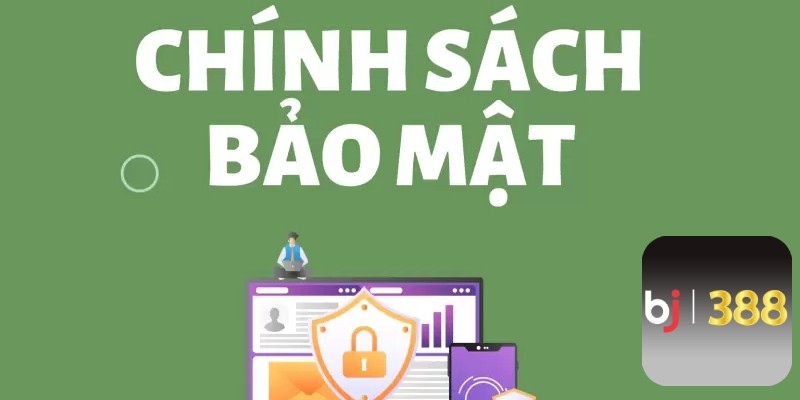 Lựa chọn của người dùng