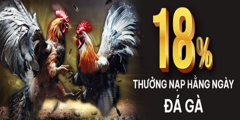 Ưu đãi được tổ chức hàng tuần và hàng tháng