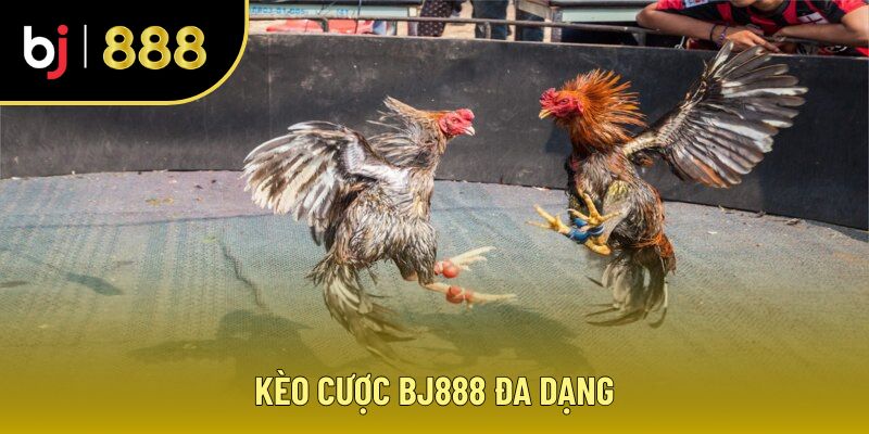 Kèo cược tại nhà cái BJ888 rất đa dạng